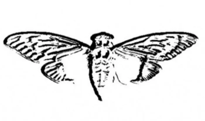 5568f6f7-man_file_1055510_mens_internet-mysteries_01_01_cicada_3301_logo.jpg