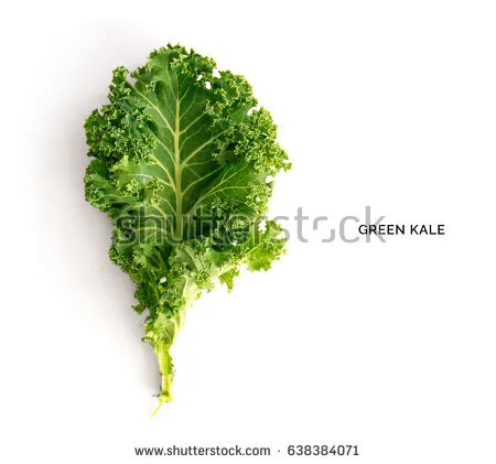 stock-photo-creative-layout-made-of-kale-flat-lay-food-concept-638384071.jpg