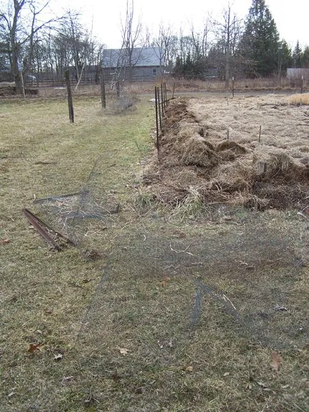 Big garden - fence down, mulch moved1 crop Feb. 2018.jpg