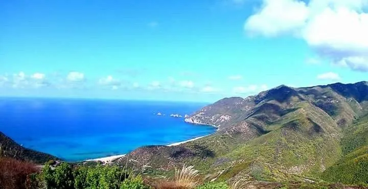 شاطئ-واد-طنجي-الحدائق-في-سكيكدة.jpg