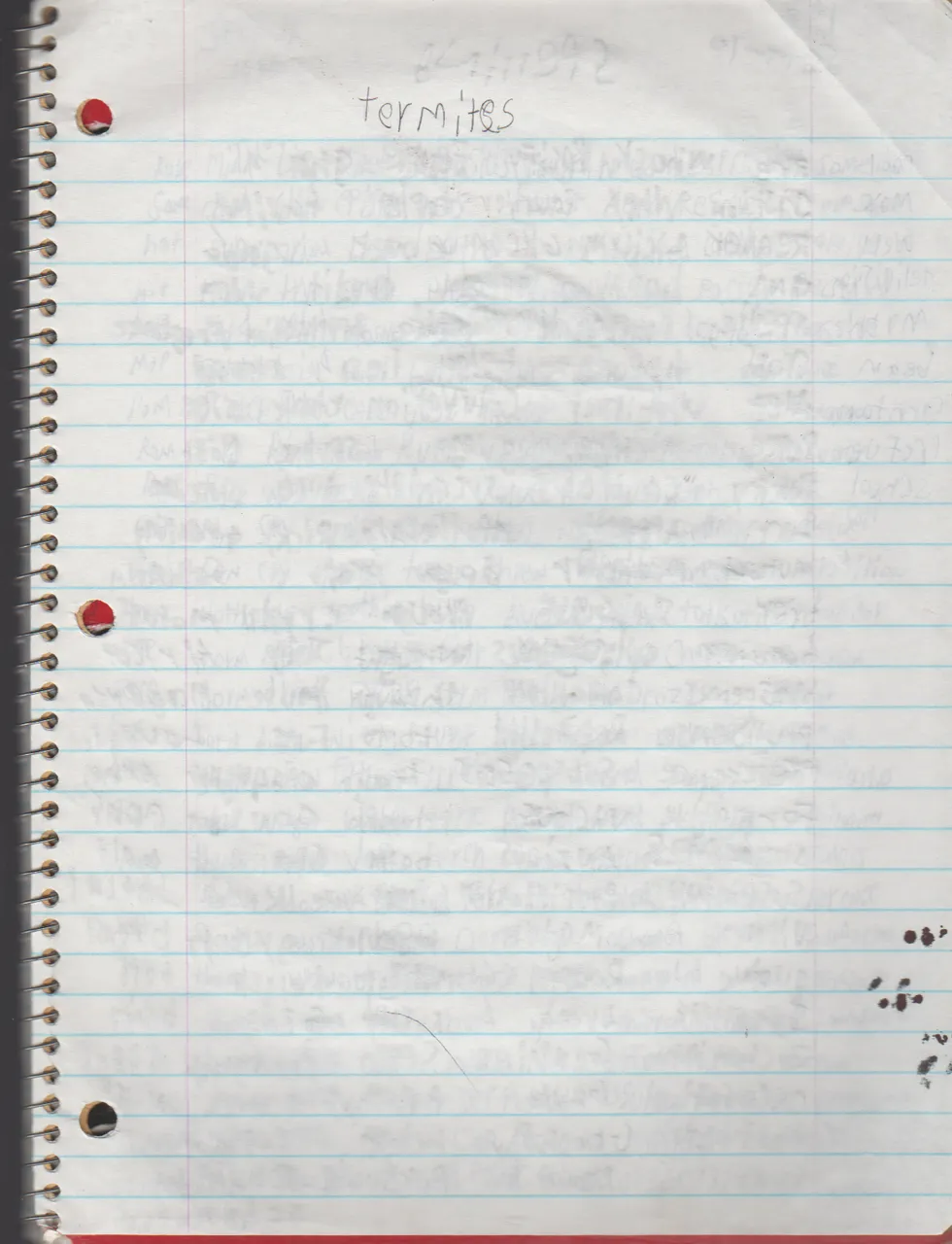 1996-08-18 - Saturday - 11 yr old Joey Arnold's School Book, dates through to 1998 apx, mostly 96, Writings, Drawings, Etc-100.png
