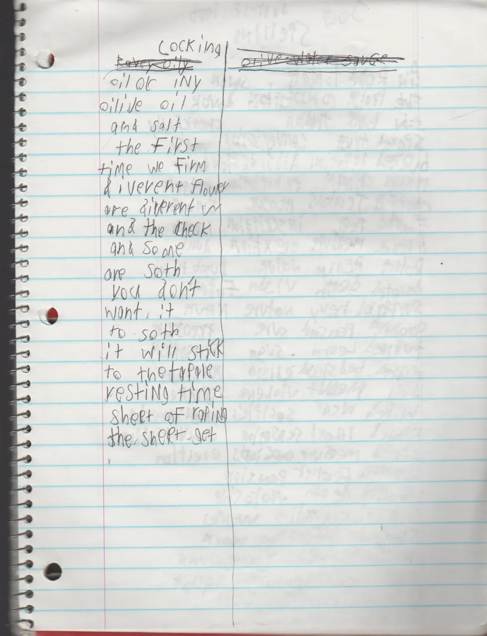 1996-08-18 - Saturday - 11 yr old Joey Arnold's School Book, dates through to 1998 apx, mostly 96, Writings, Drawings, Etc-064.png