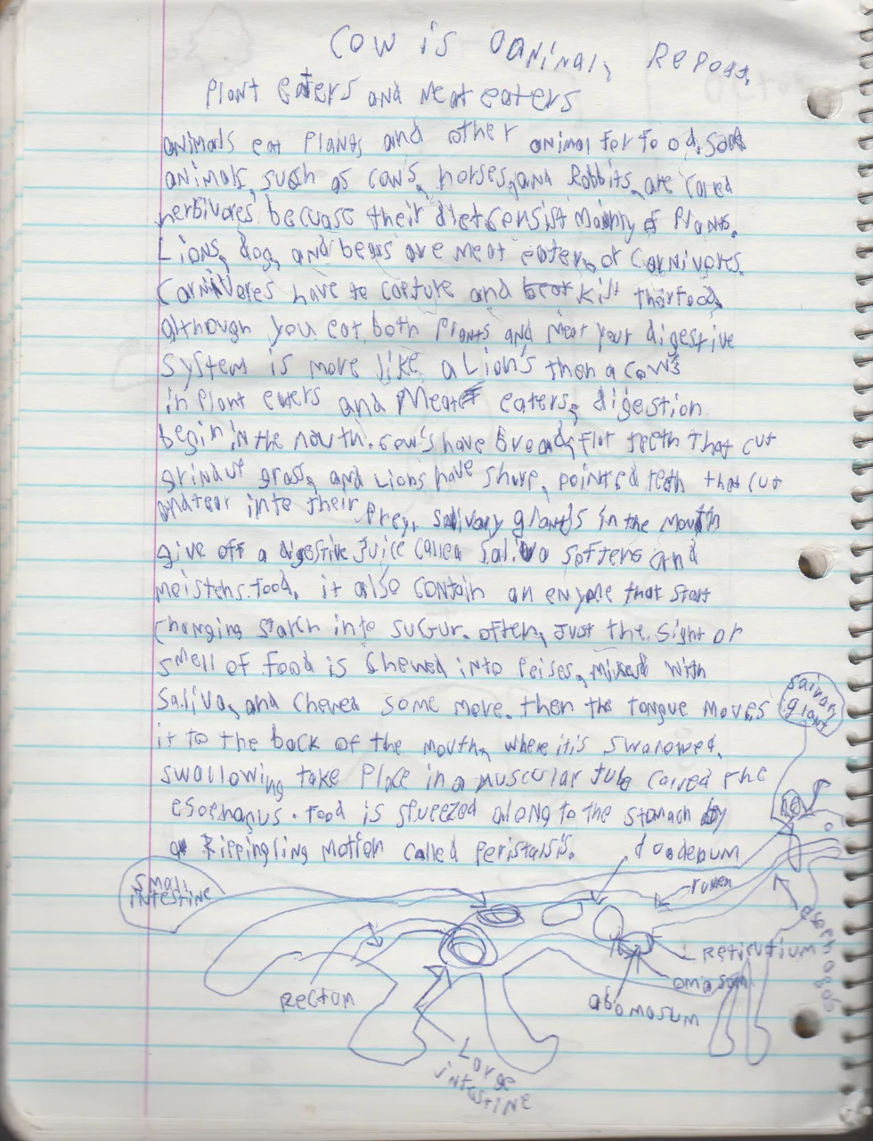 1996-08-18 - Saturday - 11 yr old Joey Arnold's School Book, dates through to 1998 apx, mostly 96, Writings, Drawings, Etc-052.png
