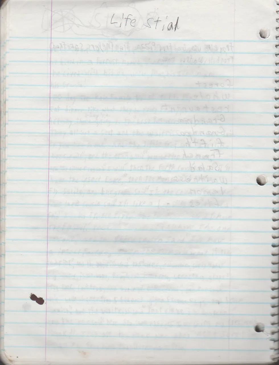 1996-08-18 - Saturday - 11 yr old Joey Arnold's School Book, dates through to 1998 apx, mostly 96, Writings, Drawings, Etc-085.png