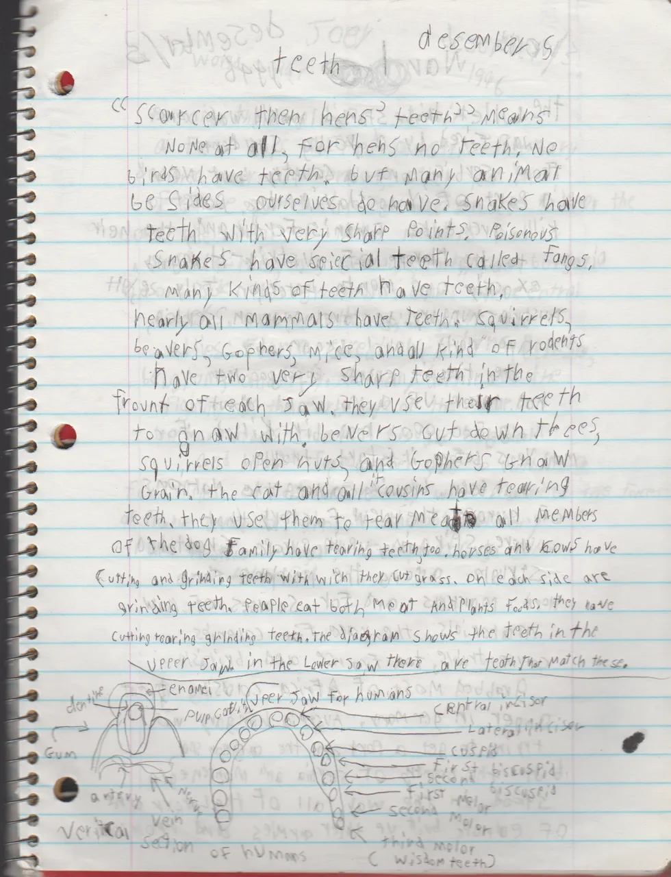 1996-08-18 - Saturday - 11 yr old Joey Arnold's School Book, dates through to 1998 apx, mostly 96, Writings, Drawings, Etc-076.png