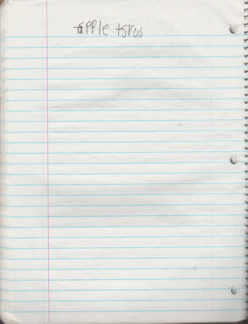 1996-08-18 - Saturday - 11 yr old Joey Arnold's School Book, dates through to 1998 apx, mostly 96, Writings, Drawings, Etc-071.png