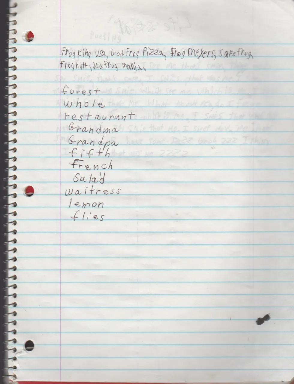 1996-08-18 - Saturday - 11 yr old Joey Arnold's School Book, dates through to 1998 apx, mostly 96, Writings, Drawings, Etc-084.png