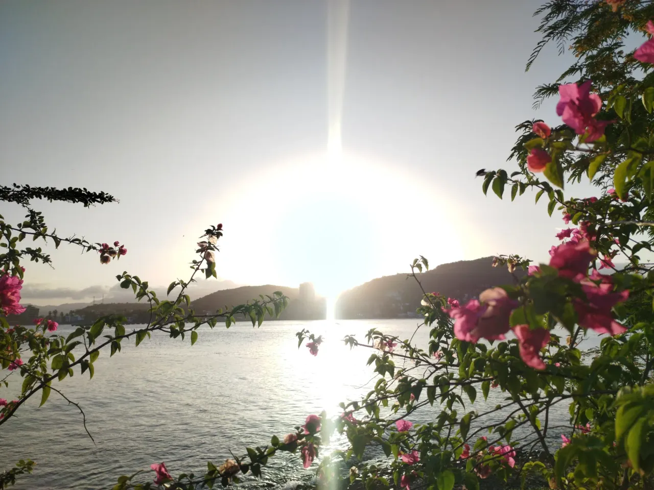 VdjtU4SIsc3SYz2A_1001443516.webp