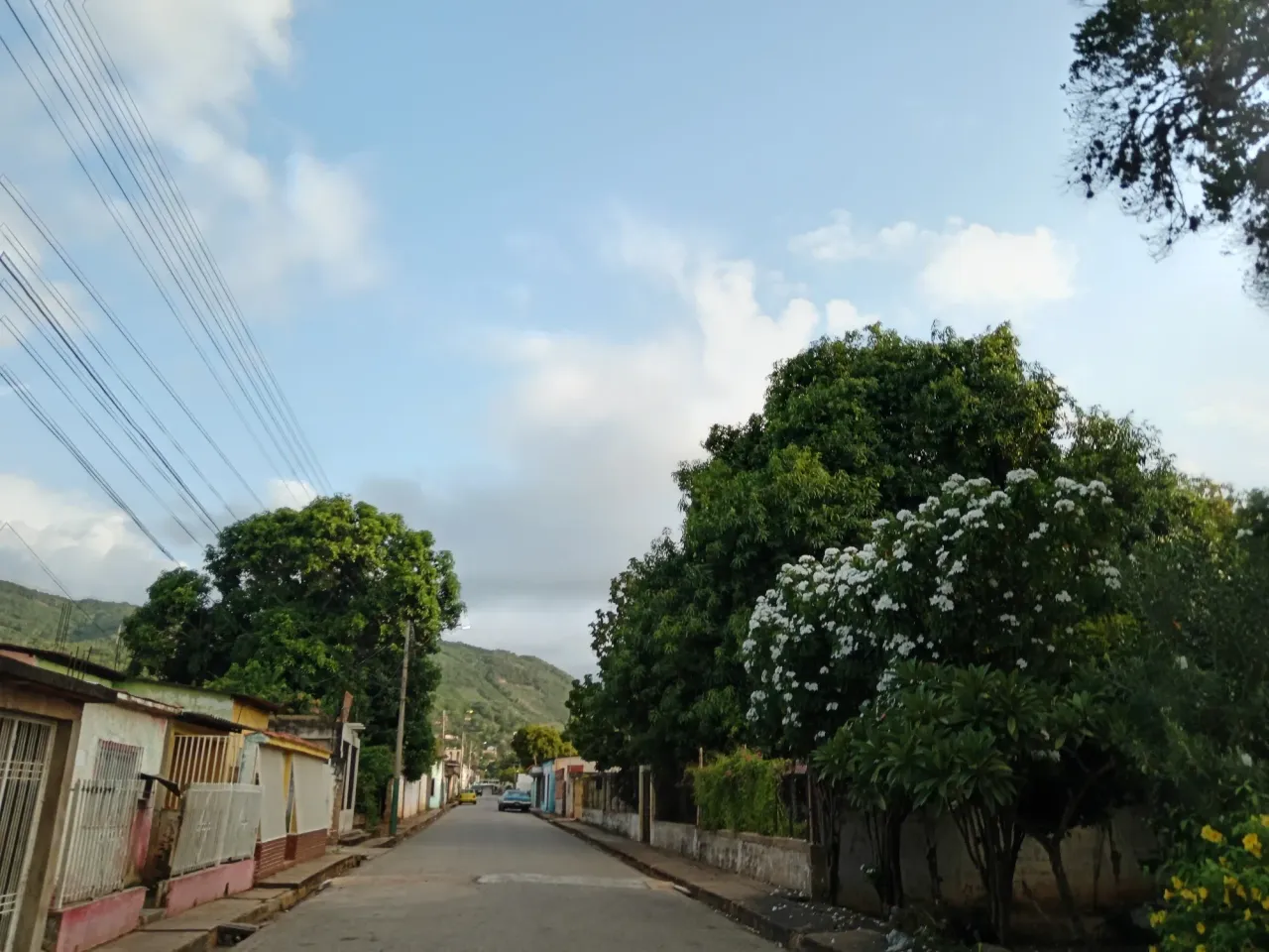 Vnuc9wD6s0gLdIaU_1000702008.webp