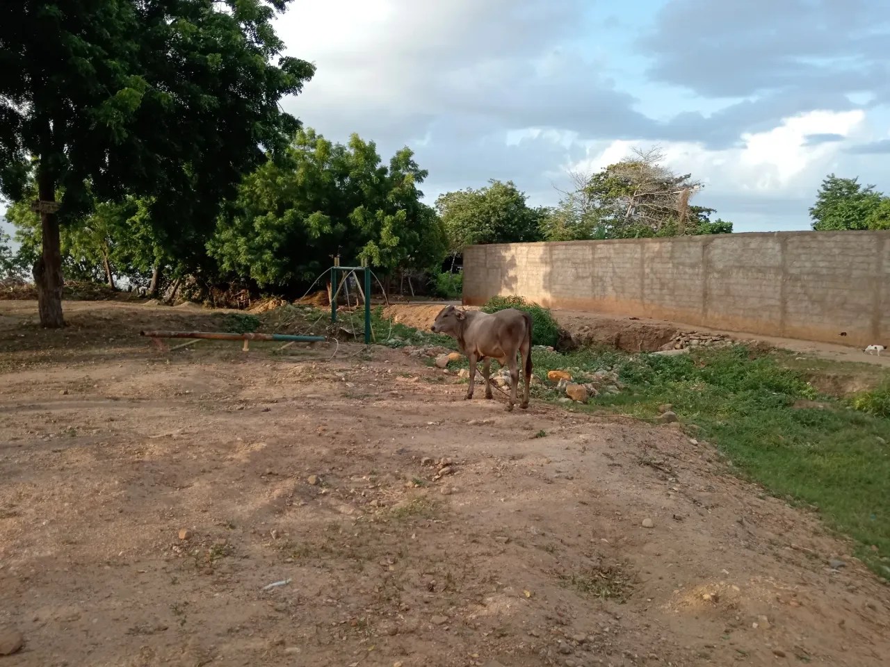 gwtINVcMRorhxs51_1000702007.webp
