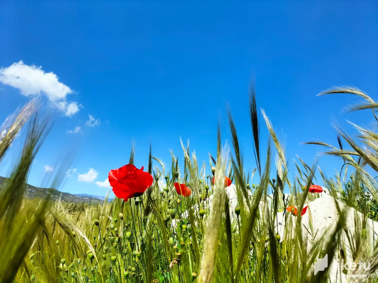 clgv9u9xc02fv7msz0wbq9zjs_8.webp