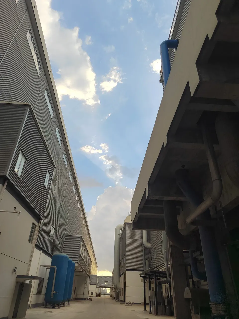 6RBW9yeoVDVupkbJ_1000057145.webp