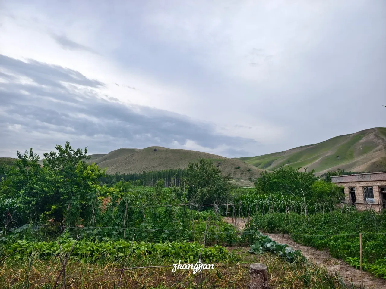 PlqgsyzO7NiTWVwz_1000037835.webp