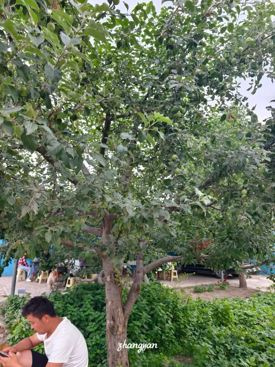 ajfqjG7aO7tFTd0Y_1000037833.webp