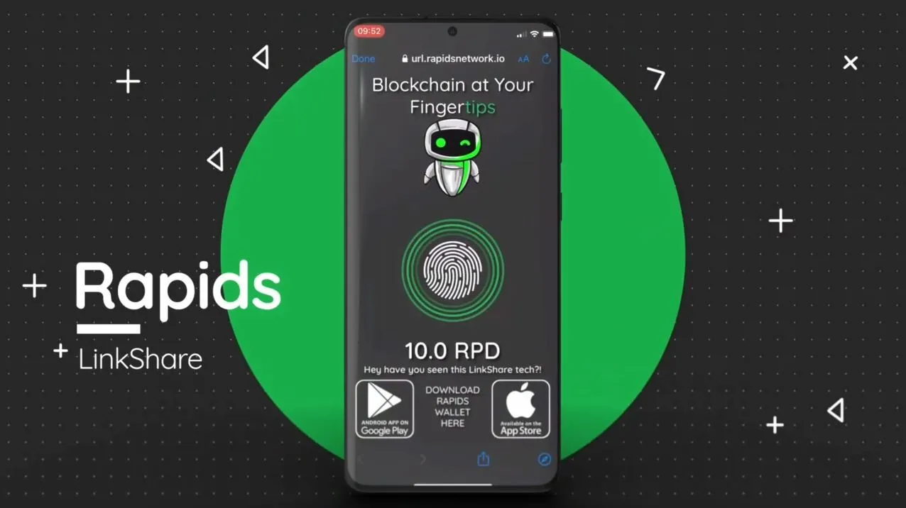 Rapids network