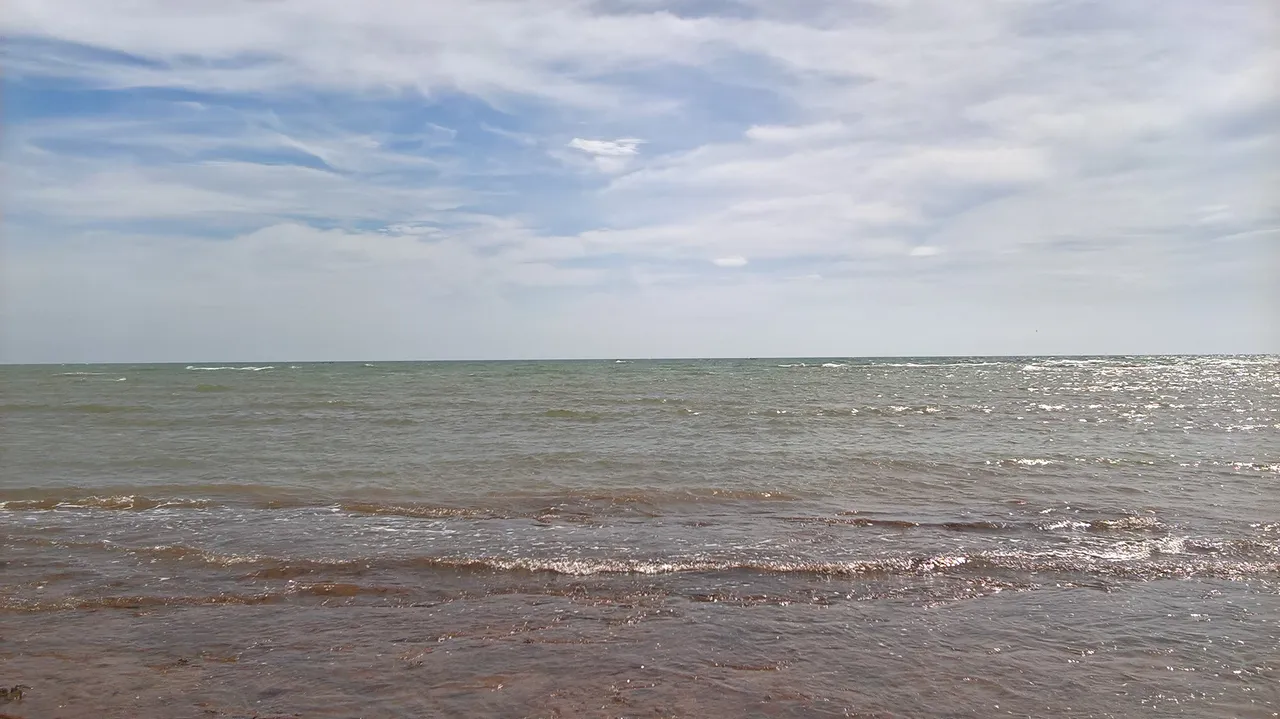 WP_20160811_14_43_52_Pro_LI.jpg