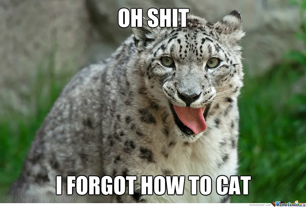 just-snow-leopard_o_1721517.jpg