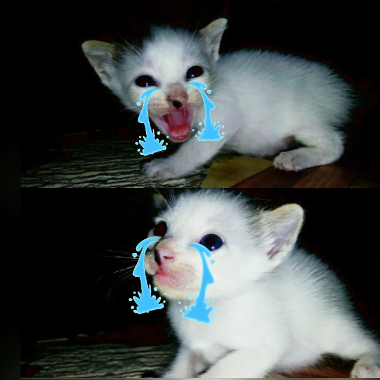 squarequick_201872722014181.jpg