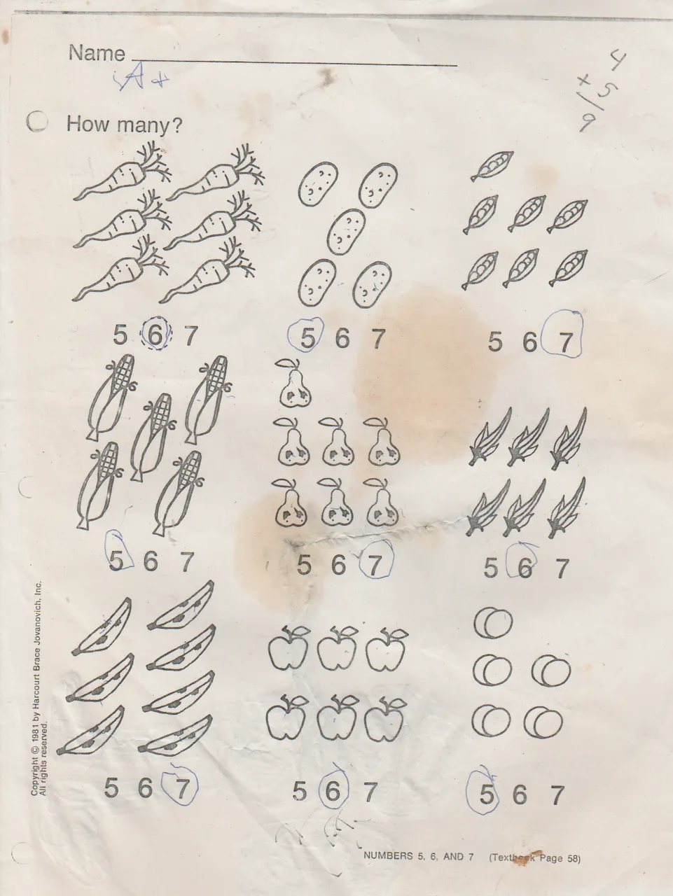 1992 Maybe Math Sheet.png
