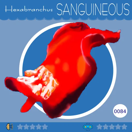 0084-HexabranchusSanguineus.png