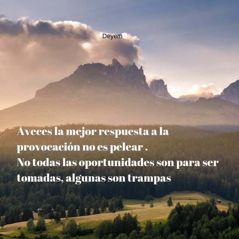 Añadir un poquito de texto.jpg