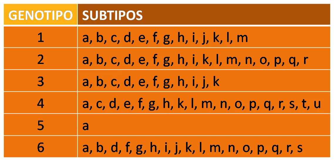 Sub tipos hepatitis C.png