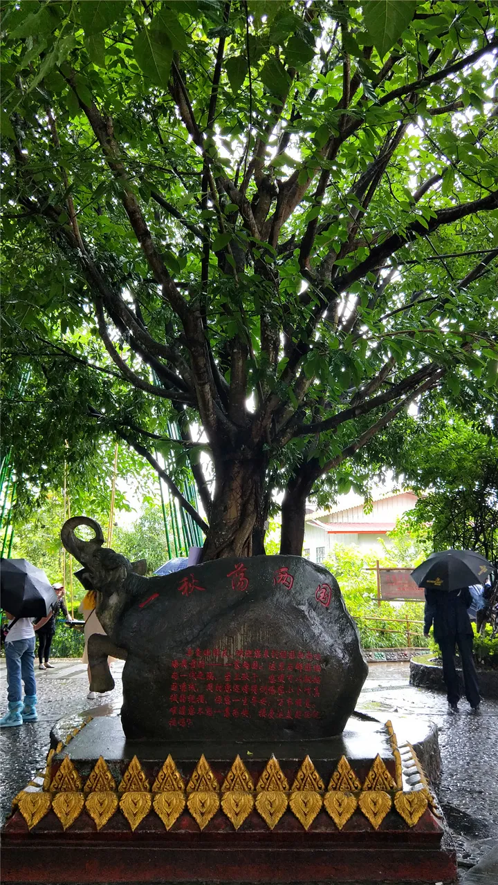 荡两国.jpg