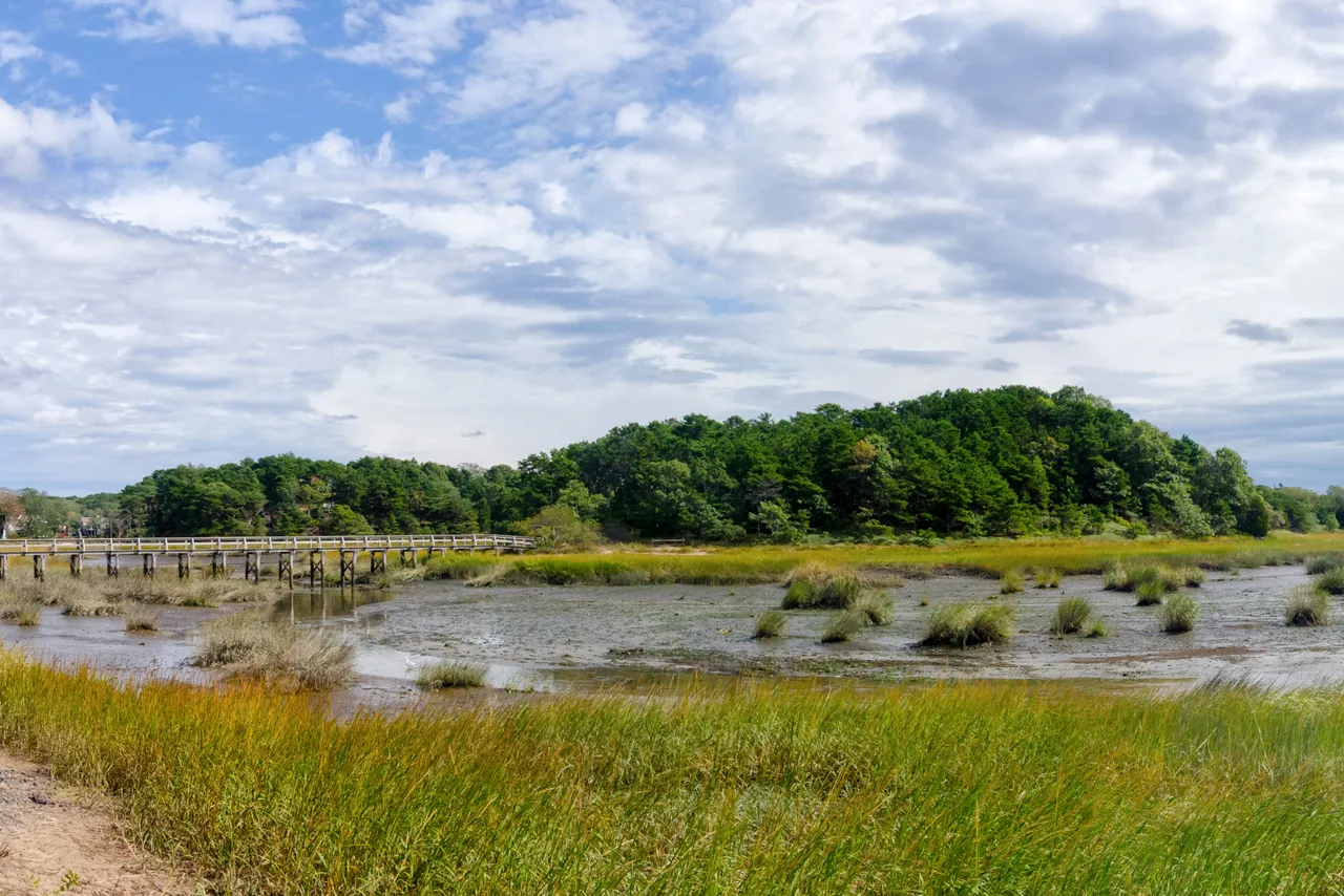 Uncle Tim'sBridge Marsh.jpg