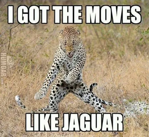 i-got-the-moves-like-jaguar.jpg