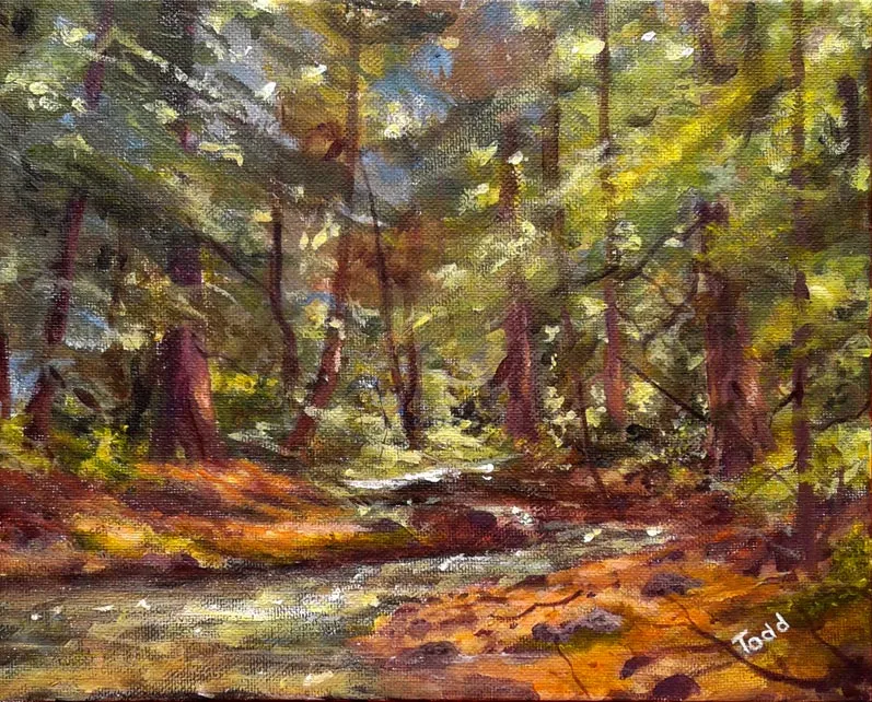 forest-creek-camping-sketch.jpg