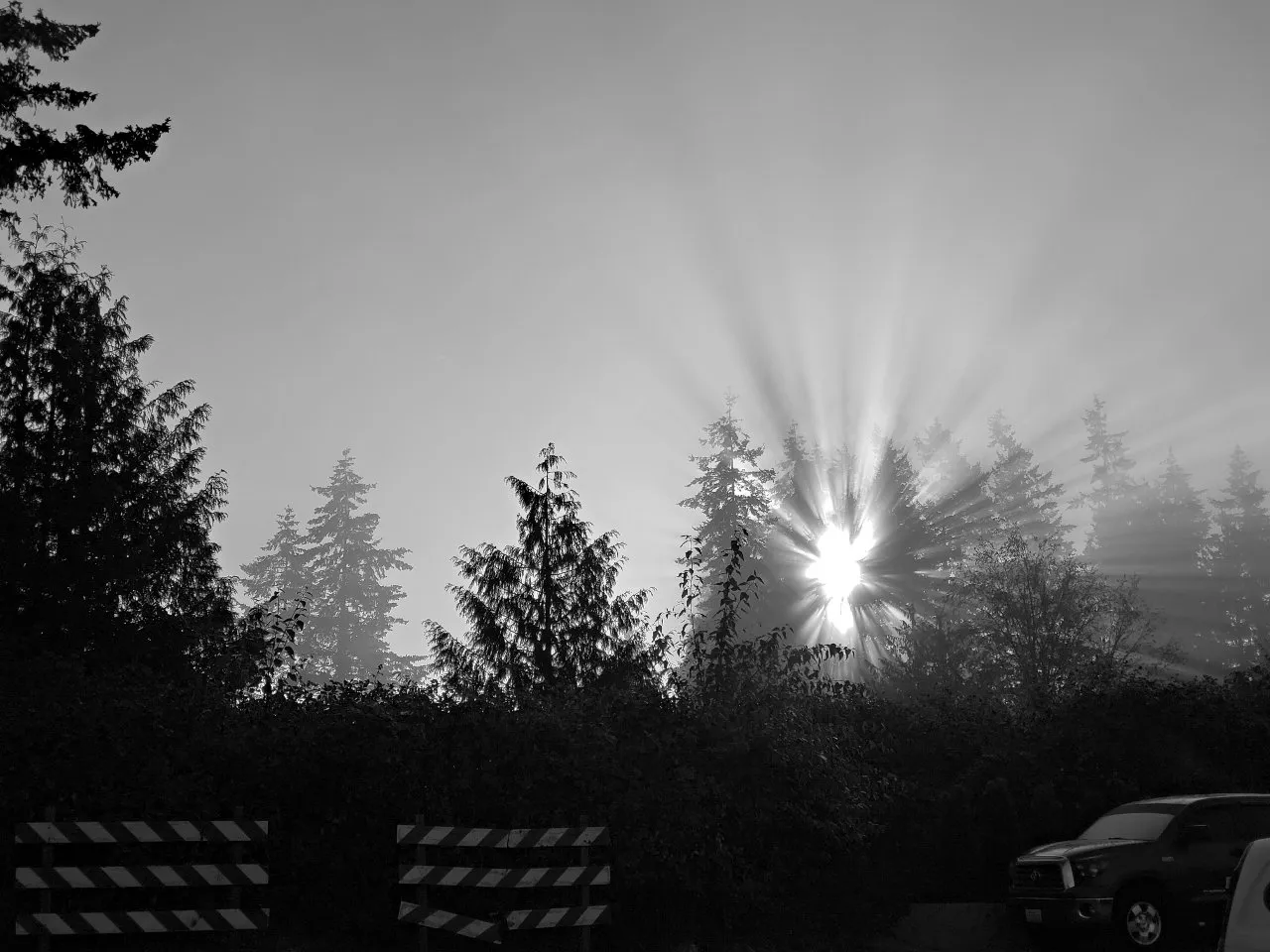 SundaySunrise_Agfapan100.jpg