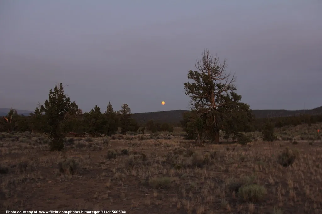 FarOffDesertMoon-001-061519.jpg