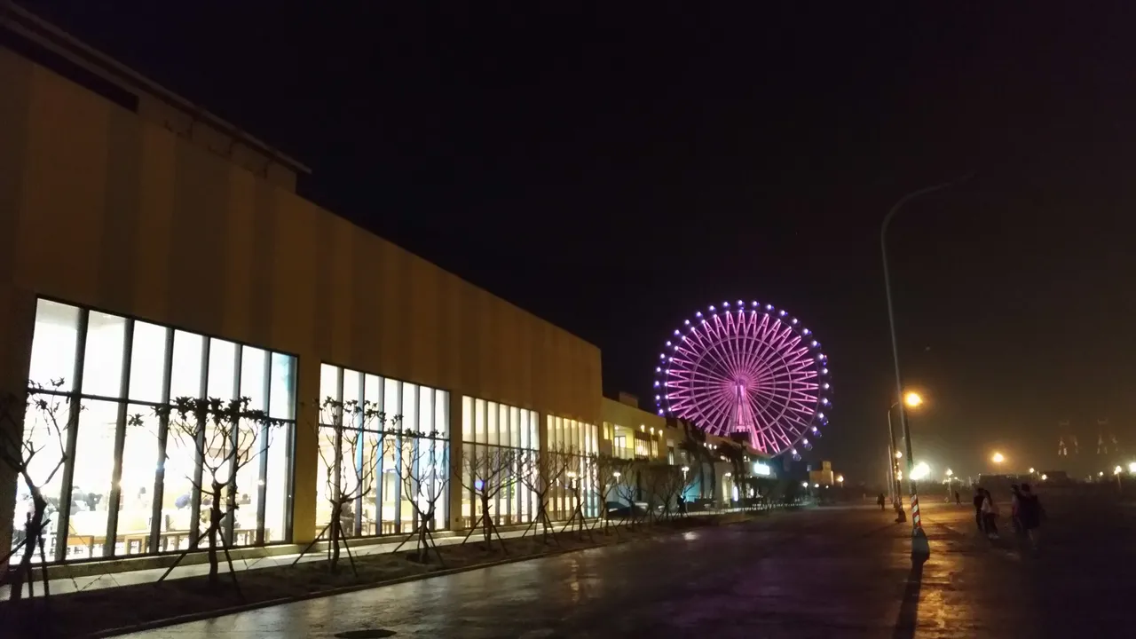 P_20190129_193854_vHDR_Auto.jpg