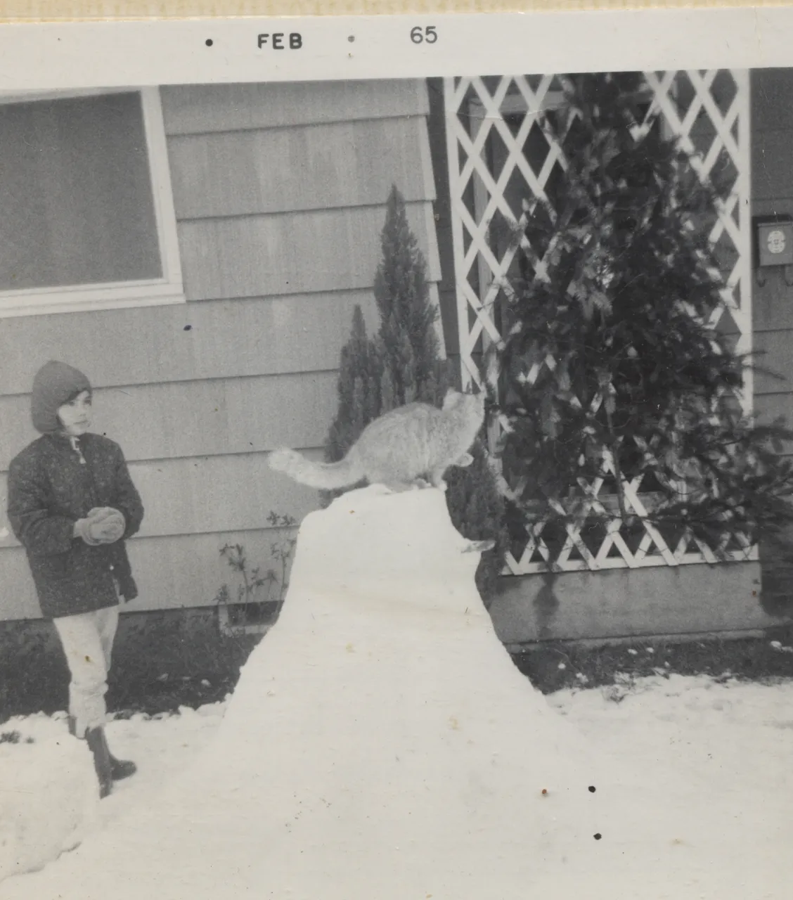 1965-02 Snow Cat Girl.png