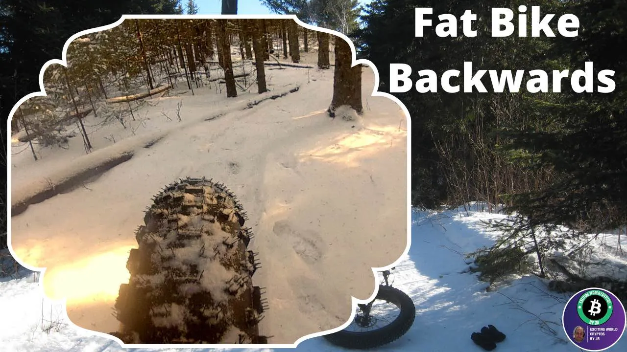 Fat Bike Rear SNAP .jpg