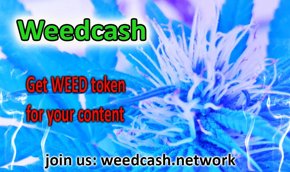 weedcash first2dwsdwdsswe.jpg