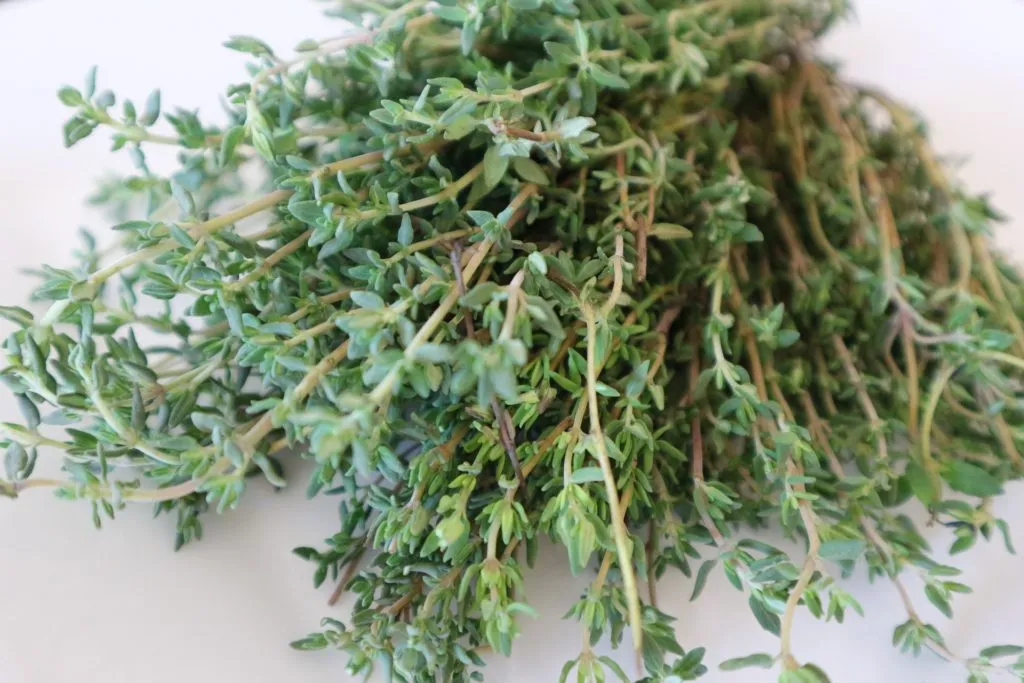 thyme-2854035_1920-1024x683.jpg