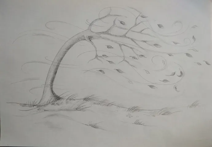 final picture of wind.jpg