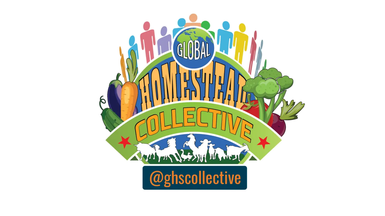 ghscollective_logo-01-1-2-1.png
