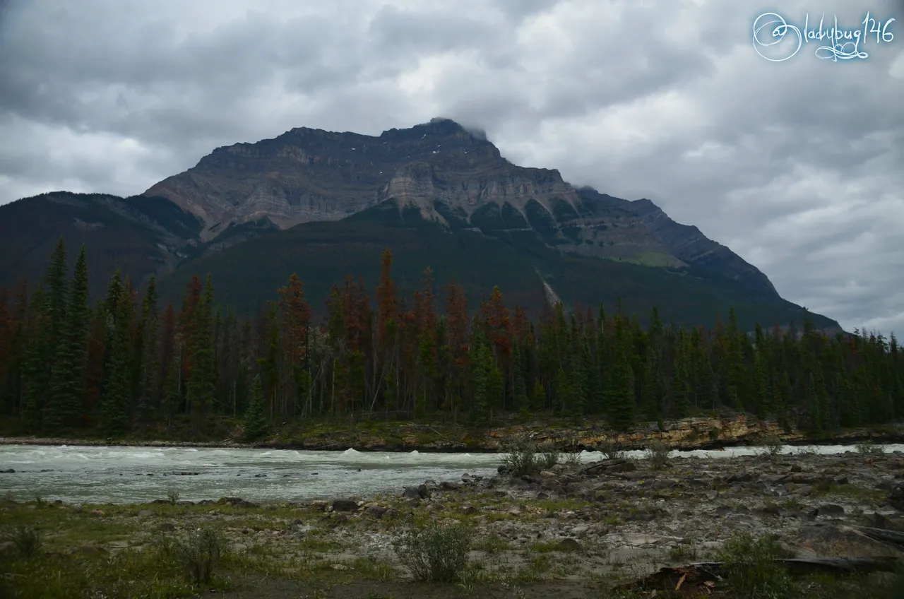 mount kerkeslin jasper2.jpg