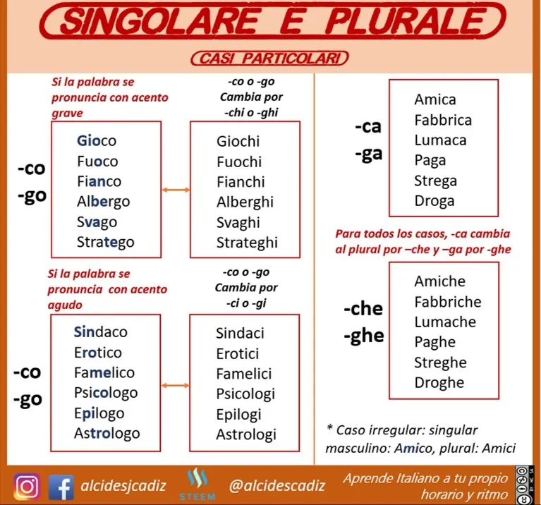 MICROLEZIONEJPG076plurale01.jpg
