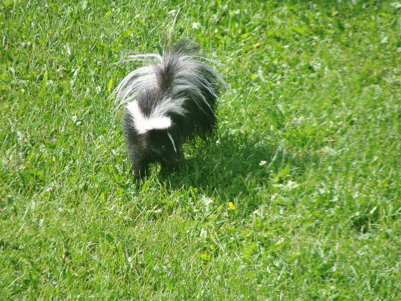 2012-07-25 00.33.11 (2).jpg