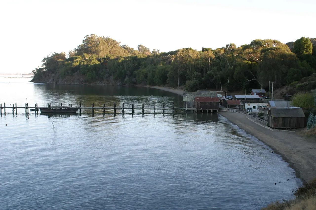 China Camp State Park.jpg