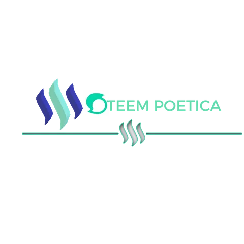 Logopit_1524558686943 (1).png