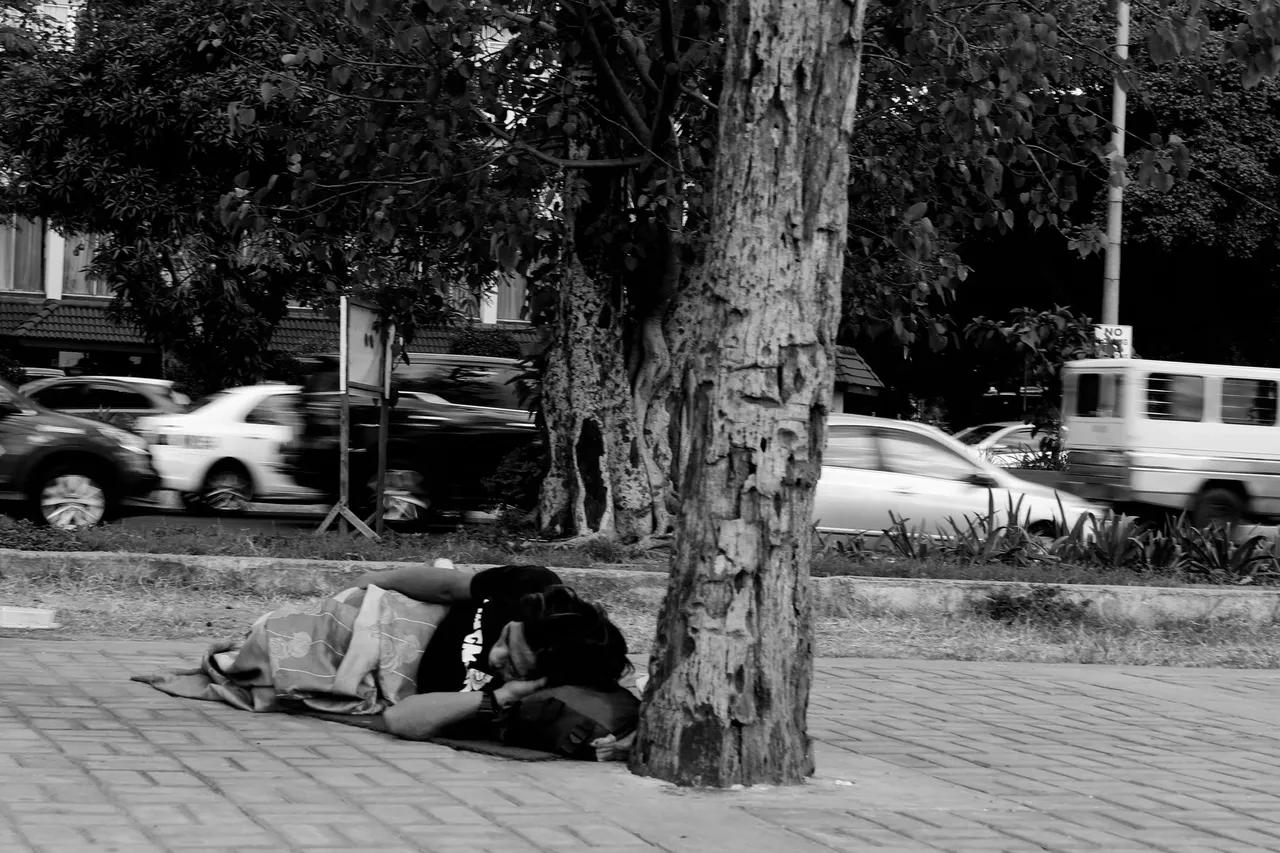 homeless man by tree.jpeg