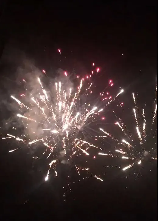 https://d1vof77qrk4l5q.cloudfront.net/img/viverridae-smart-photo-week-22-fireworks-zilunqa0-1547663834826.jpg