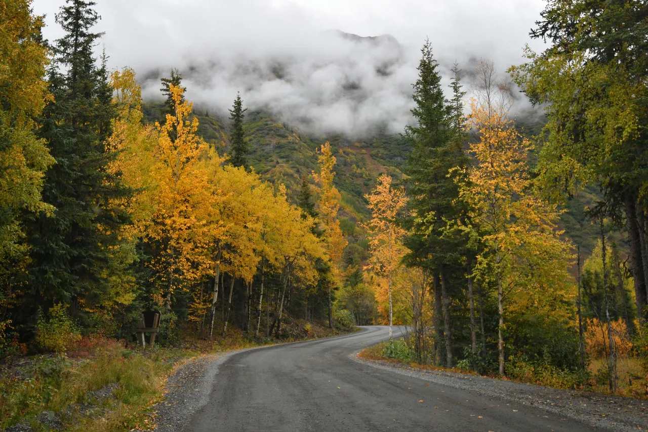 DSC_0440  Copy tern lake campground exit.jpg