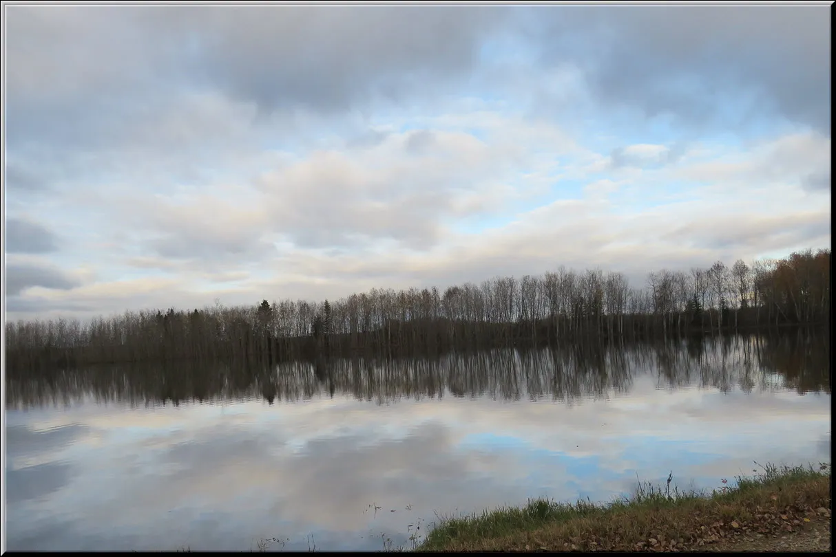 clouds in sky and trees reflected in pond.JPG