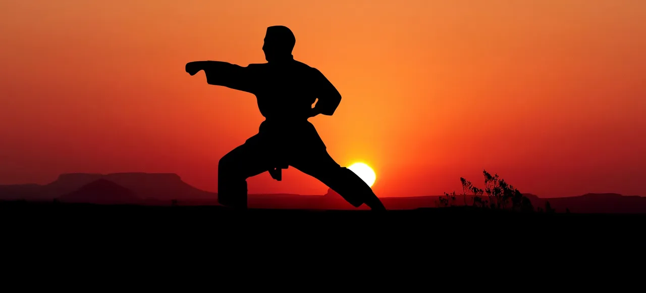 When you should practice martial arts.jpg