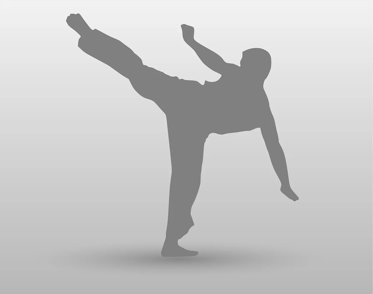 Should you do high kick or low kick.png